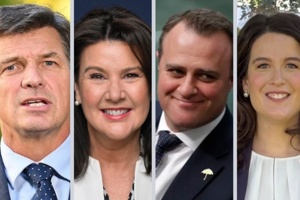 Article image for ‘The gloves are off’ – Michael McLaren says Angus Taylor’s new frontbench is built for political combat