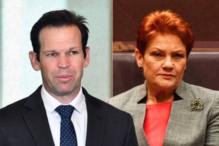 ‘Schizophrenic’ – Matt Canavan takes aim at Pauline Hanson