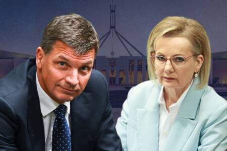 ‘Ambition’s a good thing’ – Angus Taylor responds to Liberal leadership drama