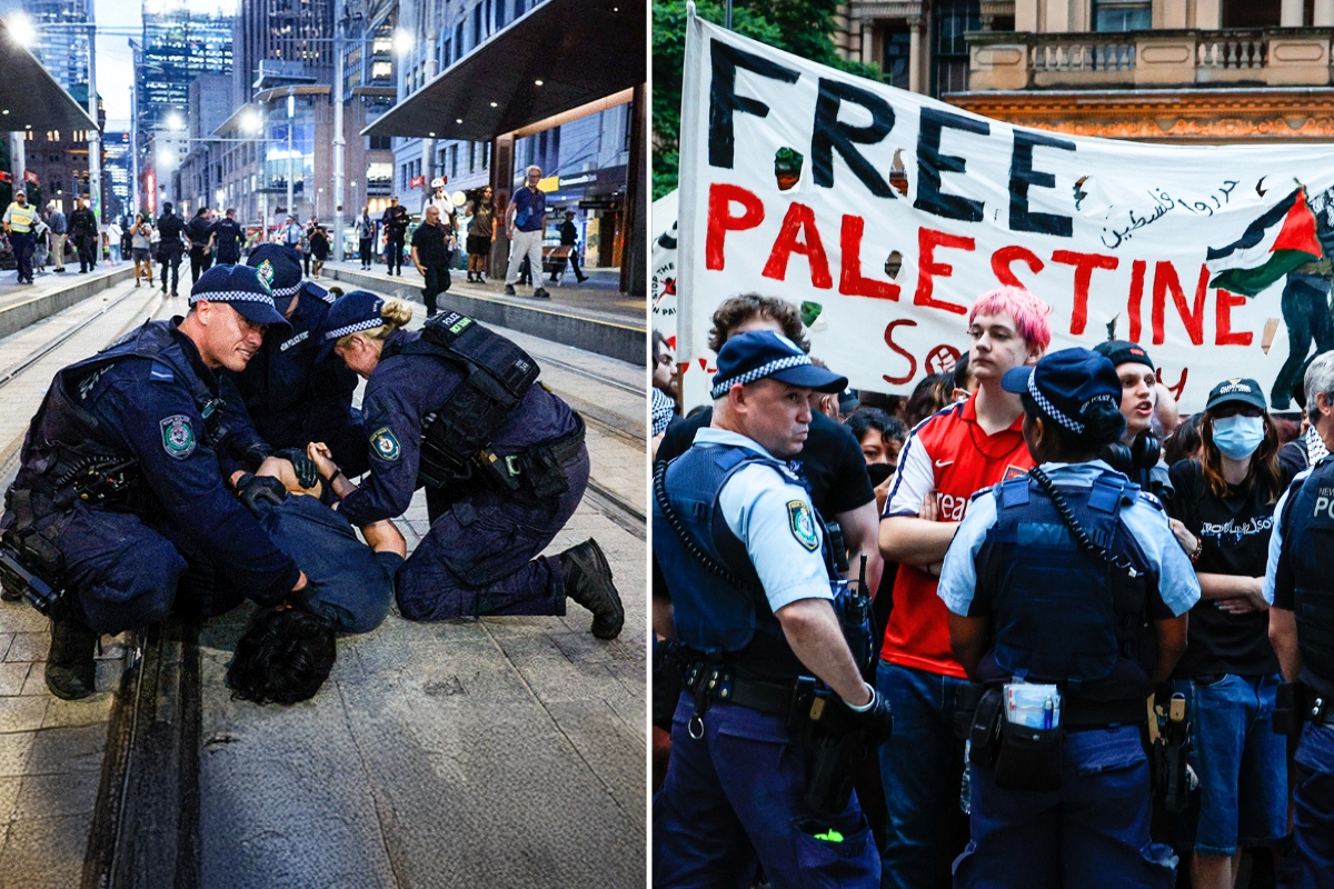 Article image for ‘Utter chaos’ – 27 arrests and claims of police brutality at anti-Israel protest