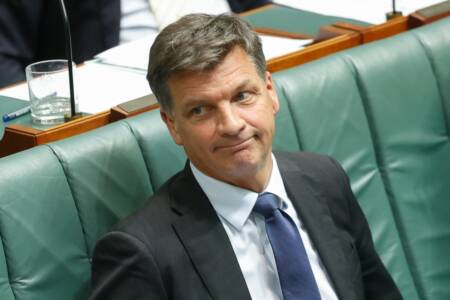 ‘Need a change’ – Liberal Senator backs Angus Taylor to take over