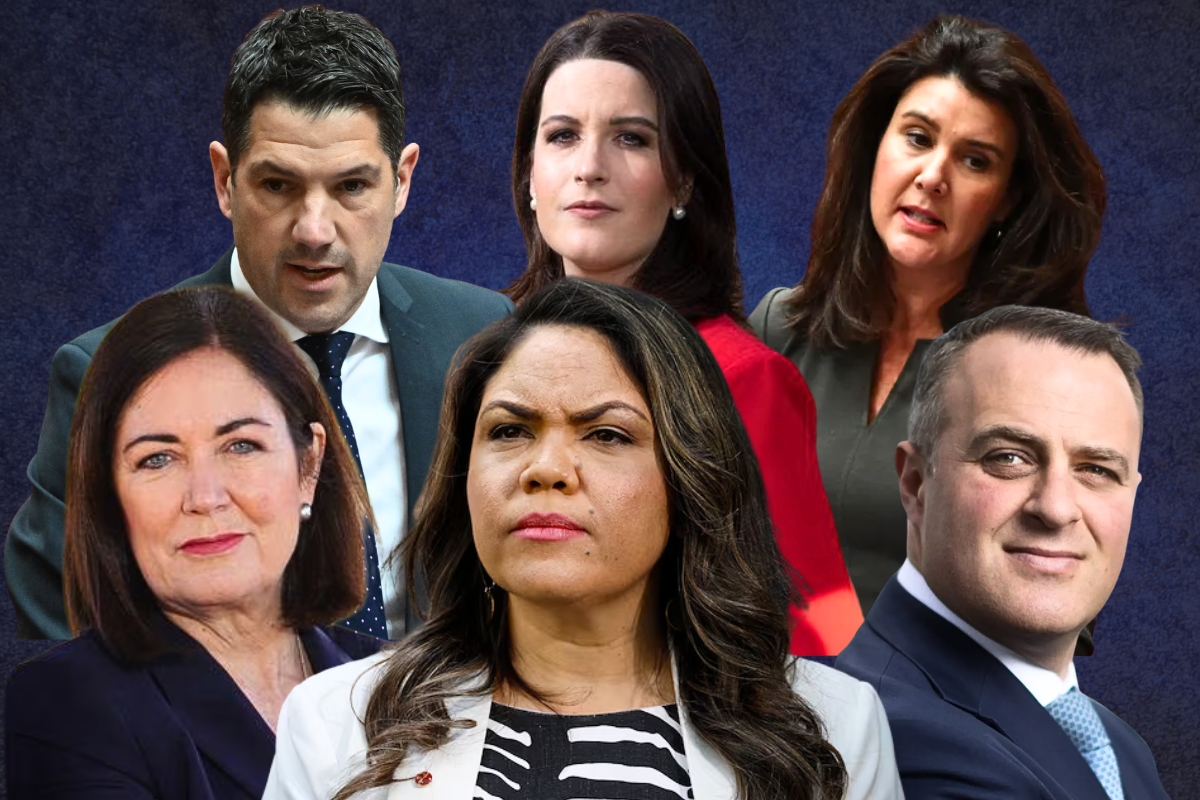 Article image for Angus or Sussan ? – We ask 6 Liberal MPs for their verdict