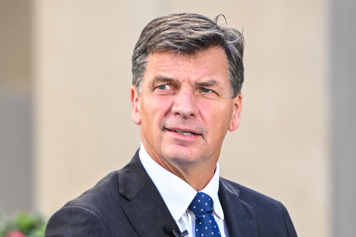 Article image for Angus Taylor wins Liberal leadership
