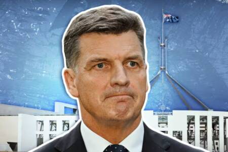 ‘Leadership limbo’ – Is Angus Taylor just a “seat warmer” for Andrew Hastie?