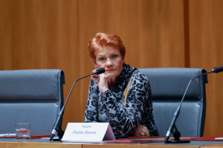 ‘I’ve worked too hard’ – Pauline Hanson on potential defections to One Nation