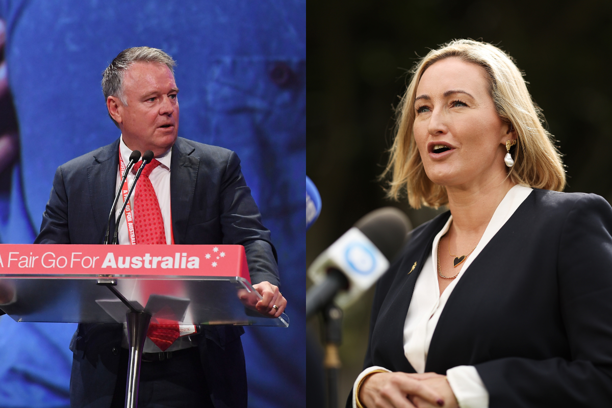 Article image for Former defence minister on why he backs sale of defence force sites