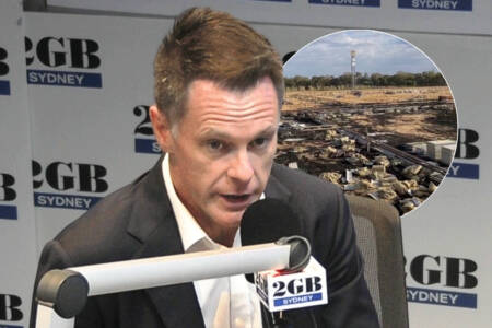 ‘Farmers to pay’ – Premier’s confession on abandoned renewables projects