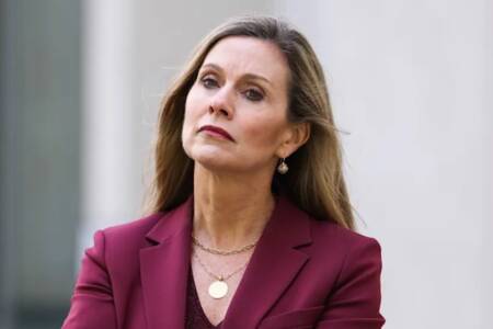 ‘You must be kidding’ – Greens call for more internet censorship