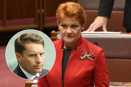 ‘Not the enemy’ – Andrew Hastie on the rise of One Nation