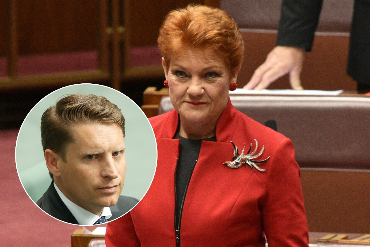 Article image for ‘Not the enemy’ – Andrew Hastie on the rise of One Nation