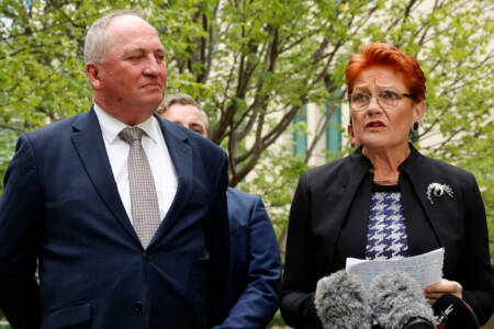 ‘They’re cheering’ – One Nation expecting strong result in SA election