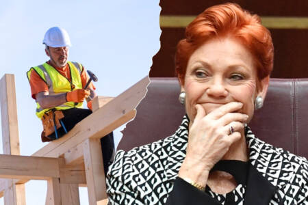 ‘Tradies love Pauline’ – Labourers driving One Nation’s success