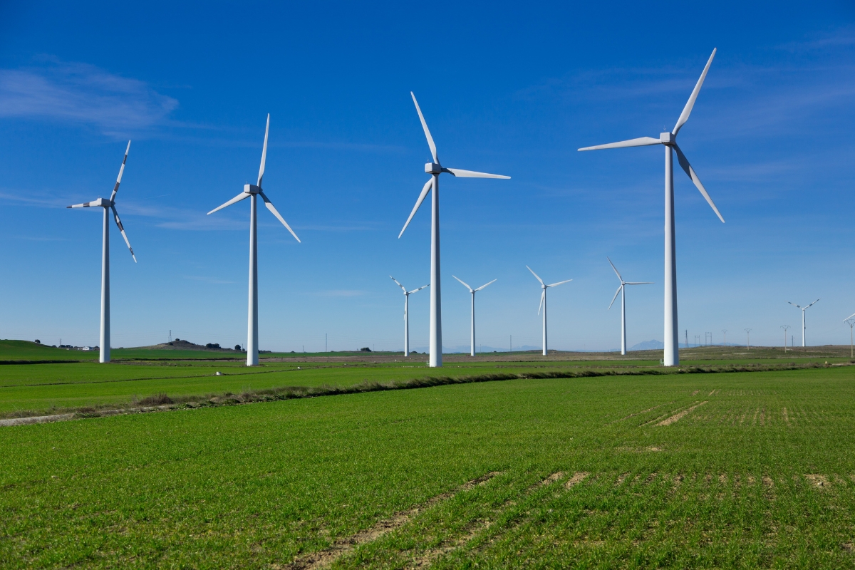 Article image for ‘Truly hideous’ – Lucy Zelić slams wind farms as an environmental and economic eyesore