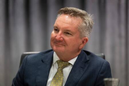 ‘What have they done?’ – Clinton calls out Chris Bowen for deflecting fuel crisis blame to past decade