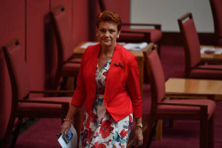 McLaren – The question some will ask Pauline Hanson ‘irrespective’ of South Australia election result
