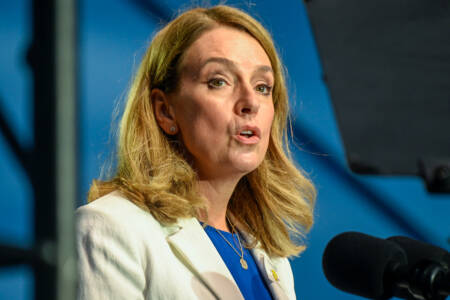 ‘Part-time Premier’ – Kellie Sloane’s assessment of Minns’ comments