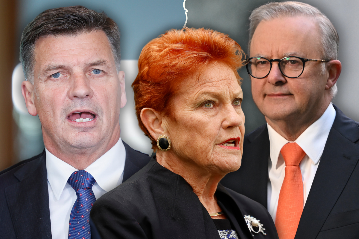 Article image for Michael McLaren – The existential threat to the major Parties