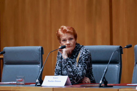Pauline Hanson heckled during 2GB interview ahead of South Australian election