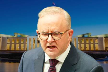 ‘$100m shocker’ – Albo’s plan for more MPs is dumped