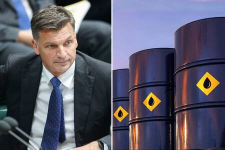 ‘Difficult to extract’ – Angus Taylor’s big issue with Australia’s oil legislation