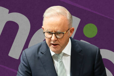 ‘Years late’ – Labor finally cracking down on NDIS explosion