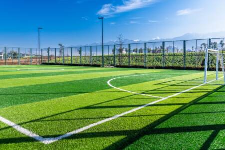 ‘Turf war’ – Local council proposal to ban fake grass