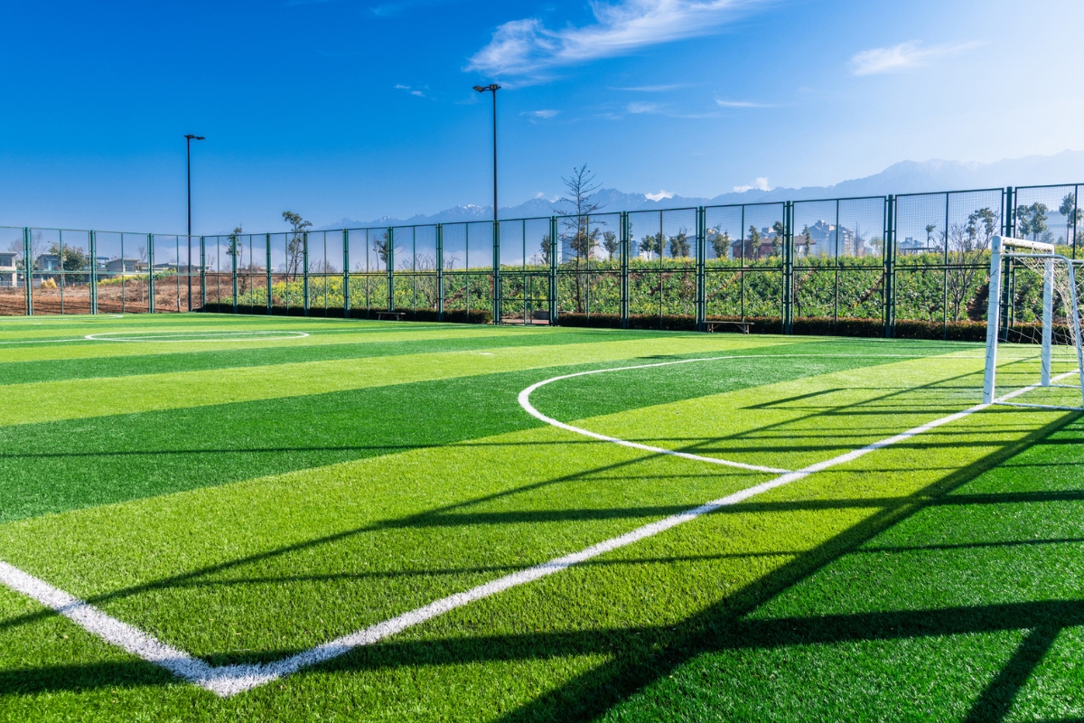 Article image for ‘Turf war’ – Local council proposal to ban fake grass