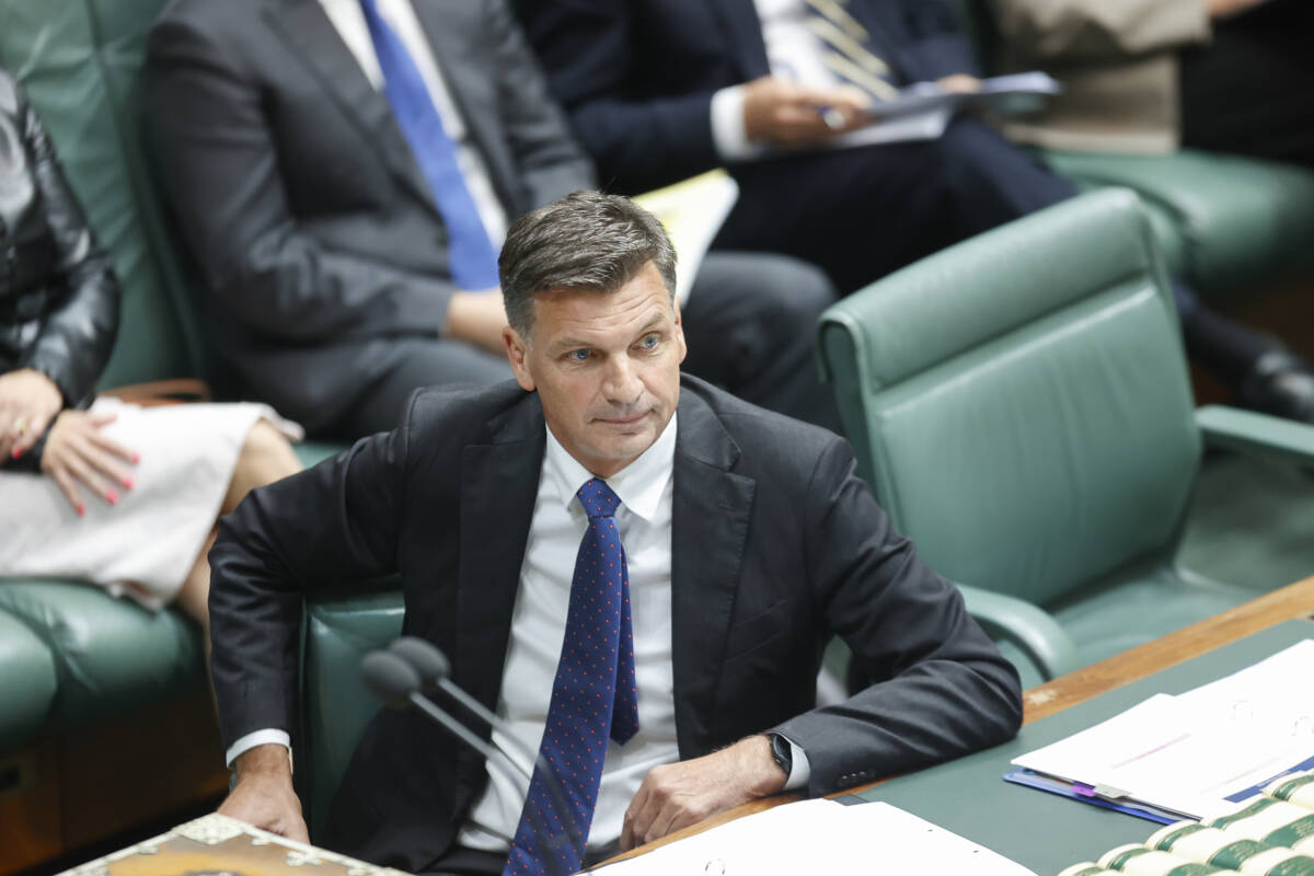 Article image for ‘Is it time for a rebrand?’ – Lucy Zelić ponders what the Liberals need to make a comeback