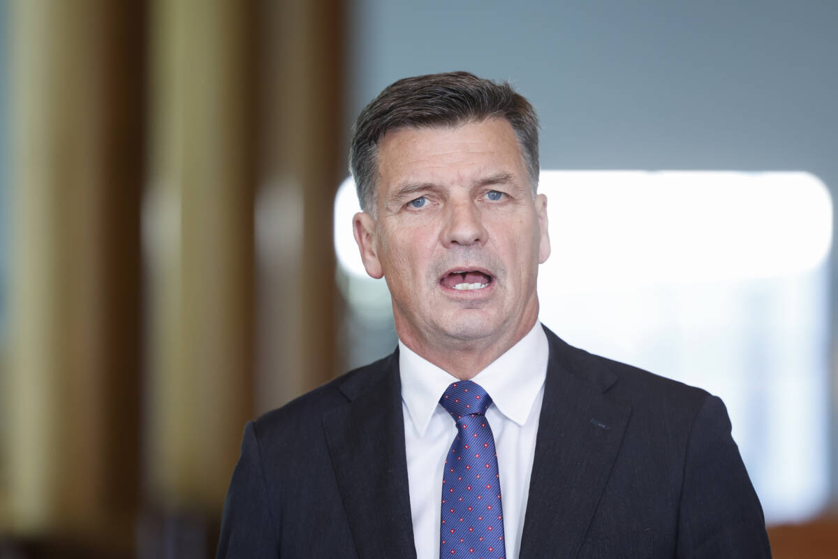 Article image for ‘Don’t come’ – Angus Taylor defends immigration crackdown