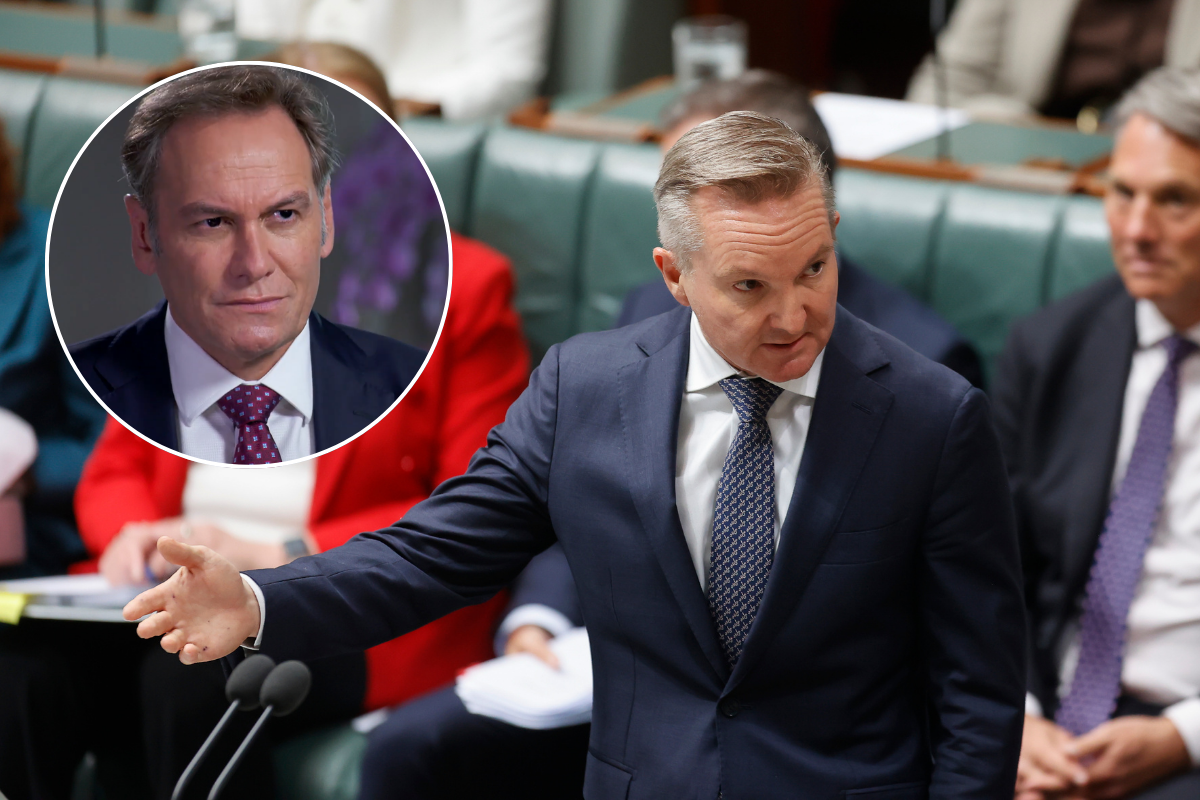 Article image for ‘Dodging questions’ – Chris Bowen ignores interview requests about renewables rollout