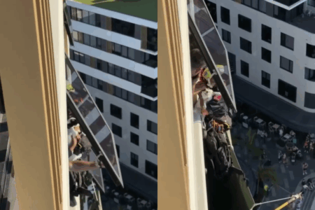 ‘Absolutely remarkable’ – The moment little Ellbie the dog was rescued from high-rise ledge