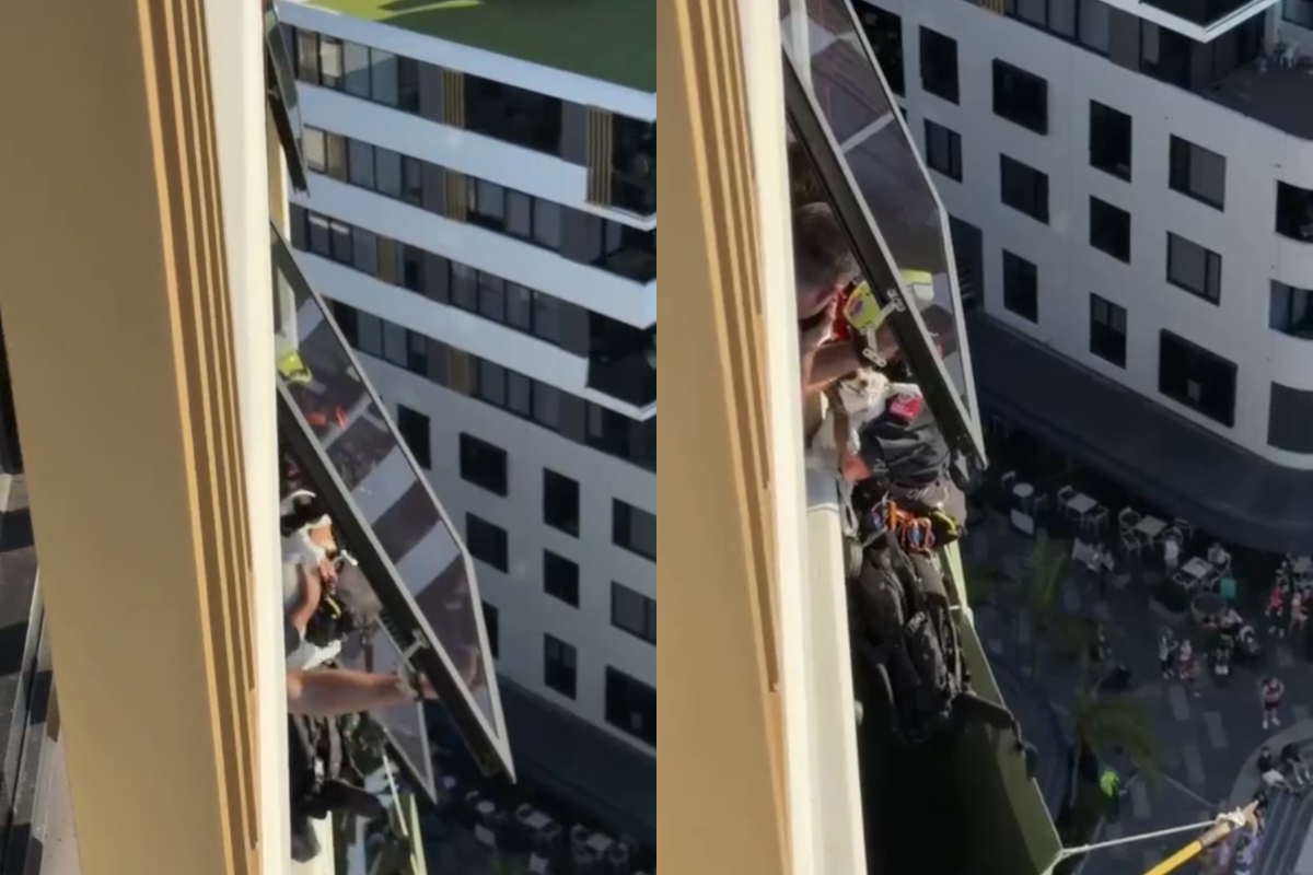 Article image for ‘Absolutely remarkable’ – The moment little Ellbie the dog was rescued from high-rise ledge