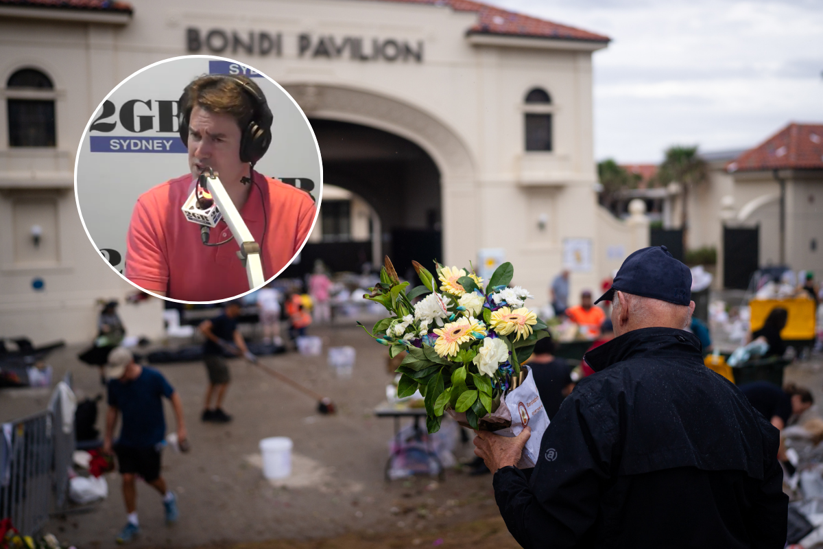 Article image for The key part from the Bondi Royal Commission Michael found interesting