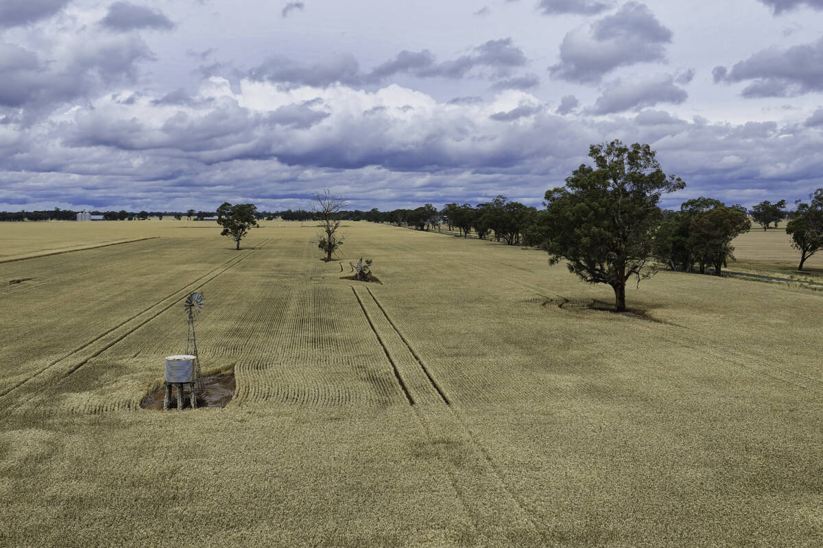 Article image for ‘Agribusiness powerhouse’ – David Farley digs his heels into Farrer ahead of by-election