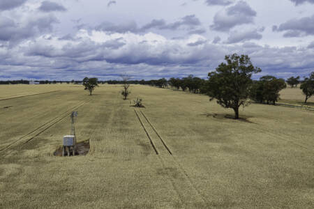 ‘Agribusiness powerhouse’ – David Farley digs his heels into Farrer ahead of by-election