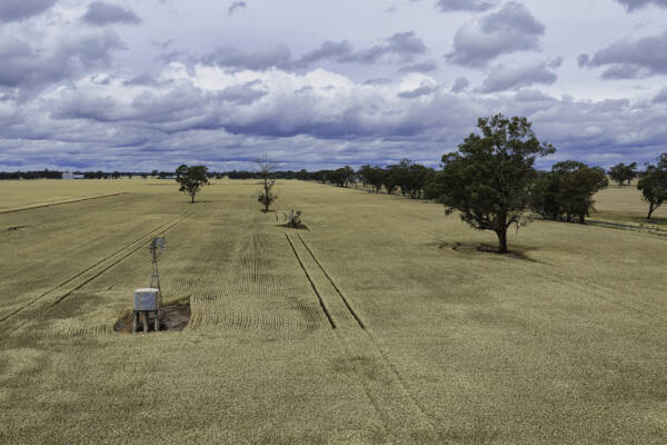‘Agribusiness powerhouse' – David Farley digs his heels into Farrer ahead of by-election