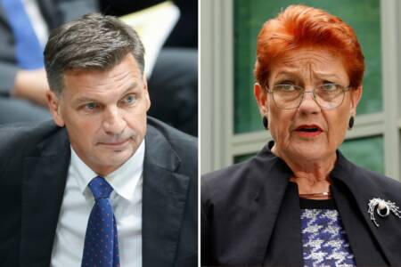 ‘Not the enemy’ – Levy calls out Coalition’s response to One Nation