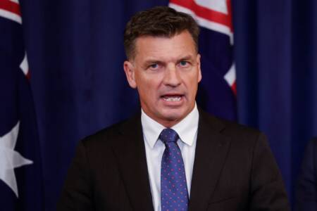 ‘No brainer’ – Angus Taylor wants welfare for Aussie citizens only