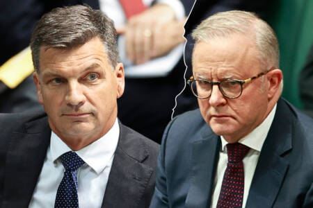 ‘Arrogant prick’ – Angus Taylor smashes Anthony Albanese