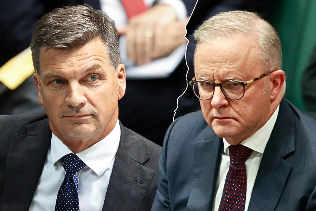 Article image for ‘Arrogant prick’ – Angus Taylor smashes Anthony Albanese