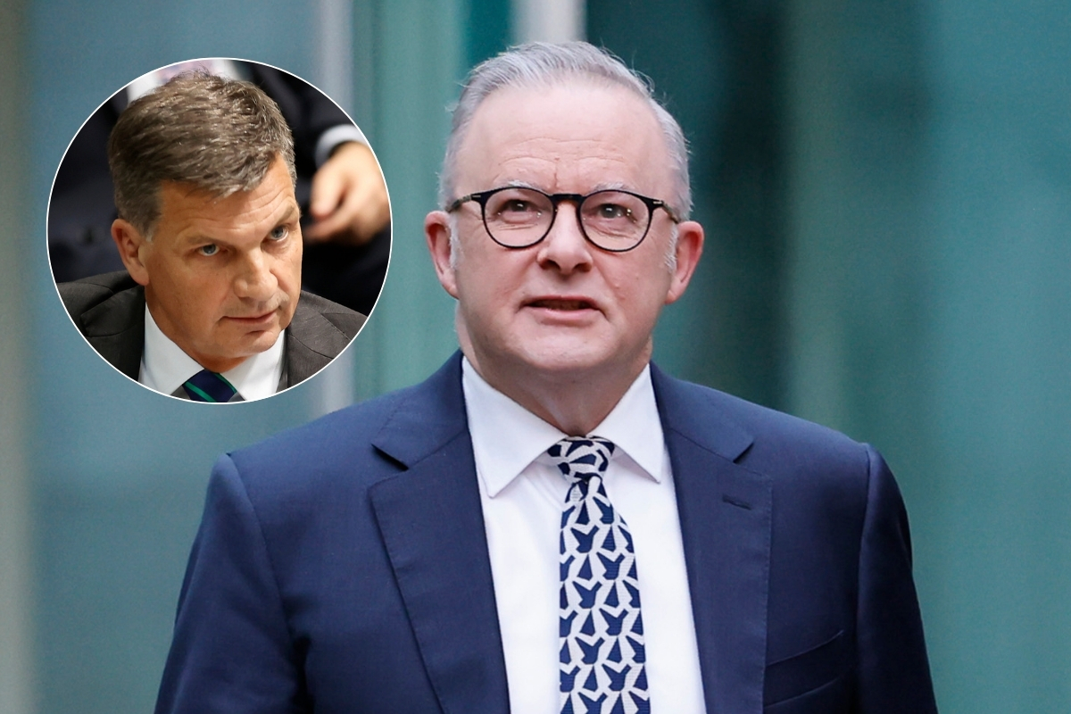Article image for ‘Blatantly lied’ – Angus Taylor reveals why he called the PM an ‘arrogant prick’