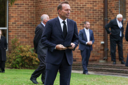 New Liberal Party President revealed