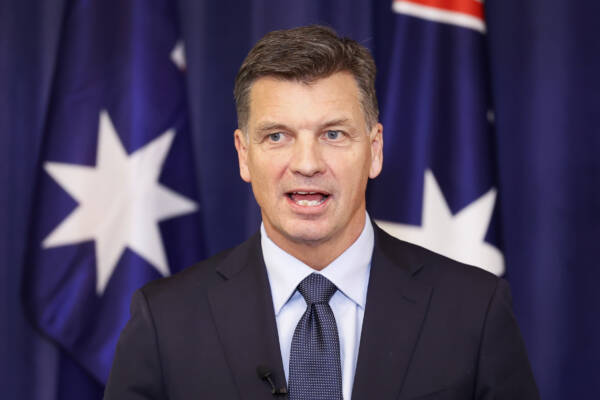 The ‘deeper problem’ facing the Coalition as One Nation support continues t