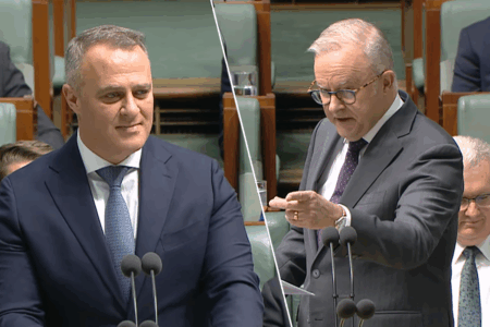 ‘Liar Liar’ – Clinton Maynard calls Labor out following dramatic Question Time