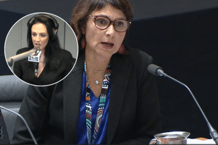 ‘Utter nonsense’ – Lucy Zelić’s number one question for Albo