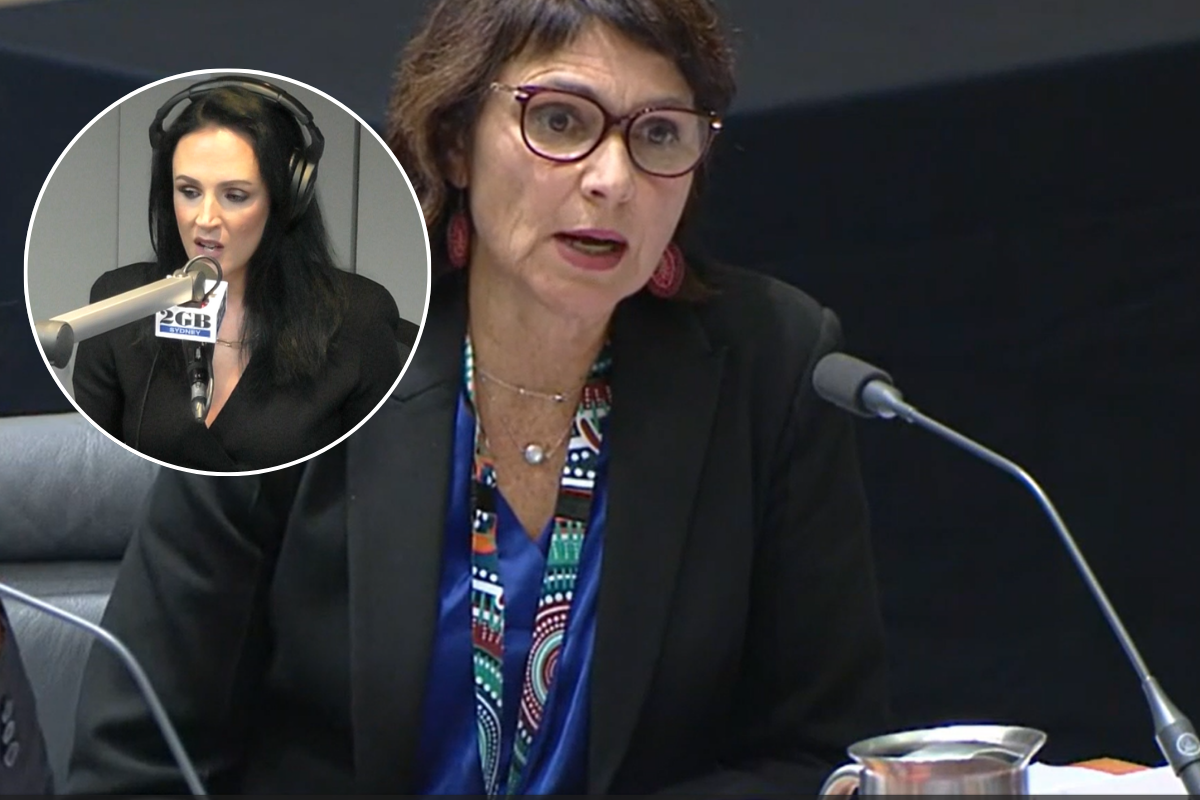 Article image for ‘Utter nonsense’ – Lucy Zelić’s number one question for Albo