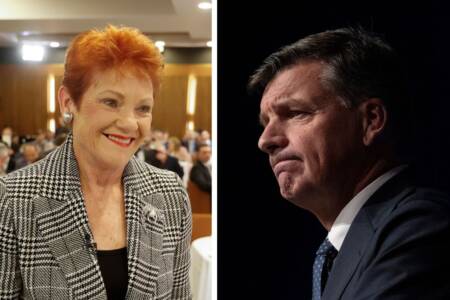 ‘Is the Liberal party dead?’ – The burning question as One Nation surges