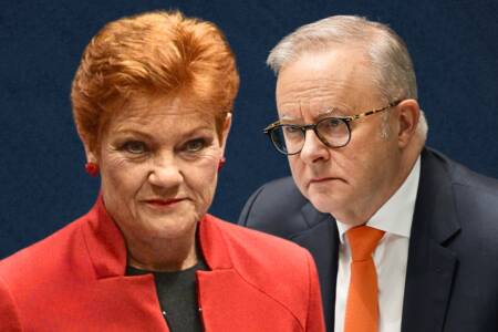 ‘Pauline for PM’ – One Nation overtakes Labor in latest poll