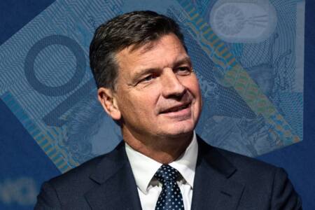‘Desperate times’ – Liberals proposing $10 memberships