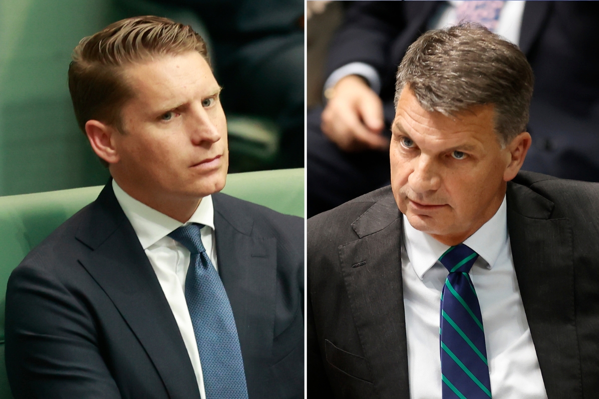 Article image for ‘Building the team’ – Andrew Hastie hits out at Angus Taylor criticism